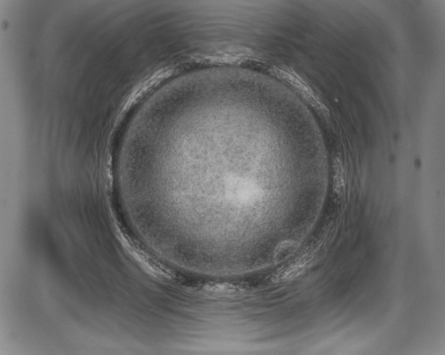 X0000086240634200703291356