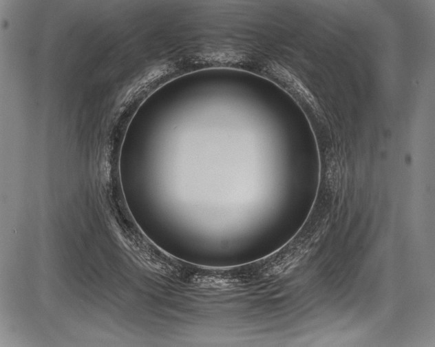 X0000086240635200703291356