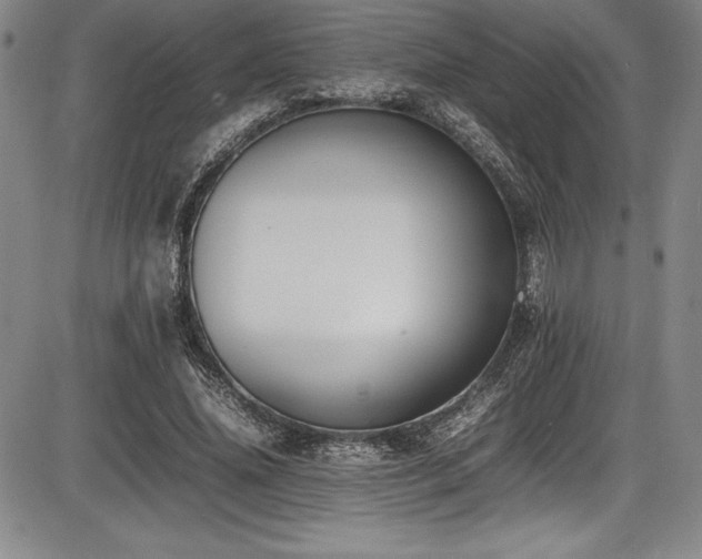X0000086240636200703291356