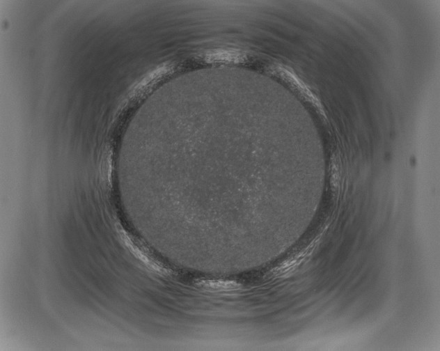 X0000086240637200703291356