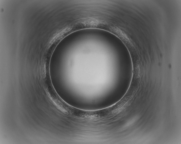X0000086240638200703291356