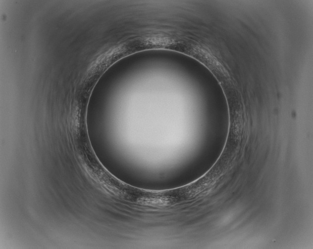 X0000086240639200703291356