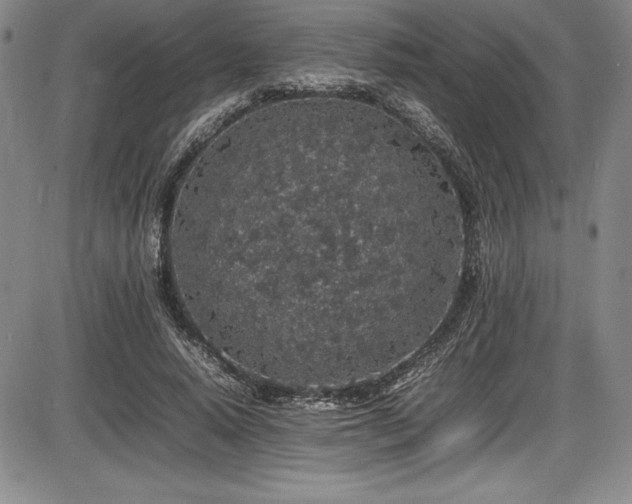 X0000086240640200703291356