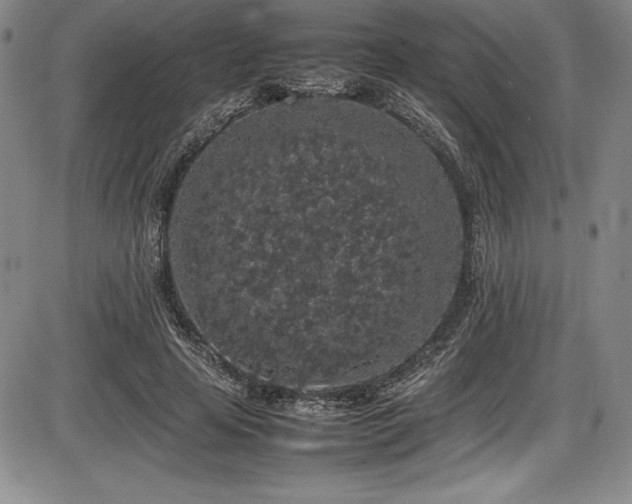 X0000086240641200703291356