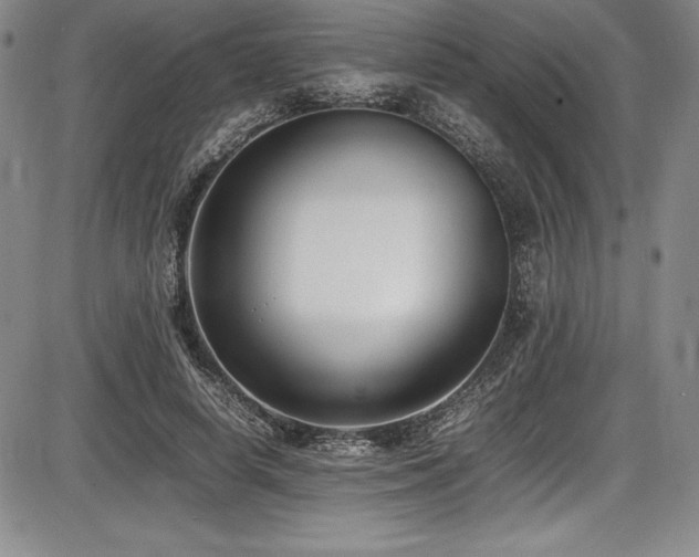 X0000086240642200703291356