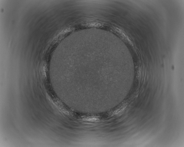 X0000086240643200703291356