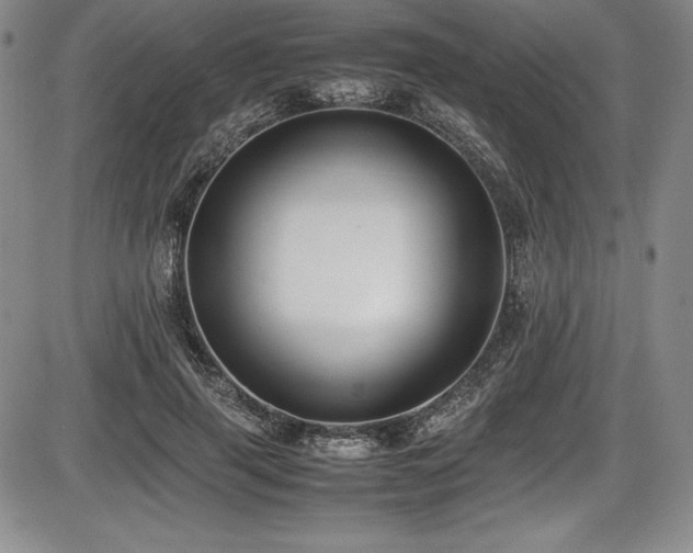 X0000086240645200703291356