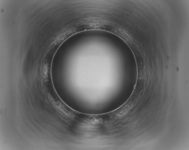 X0000086240646200703291356