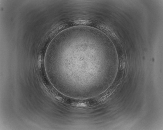X0000086240647200703291356
