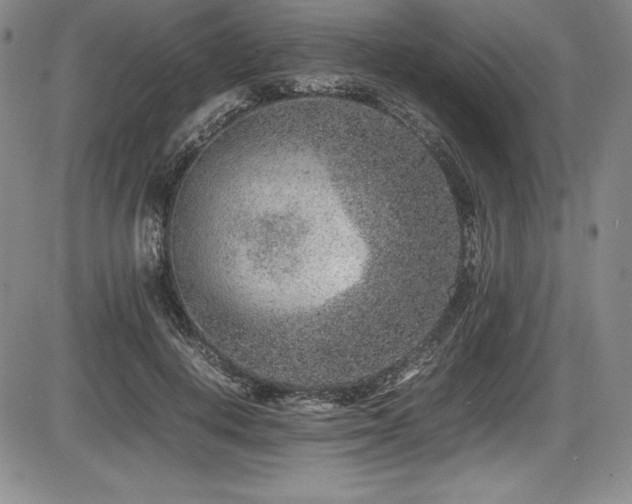 X0000086240648200703291356