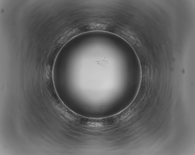 X0000086240649200703291356