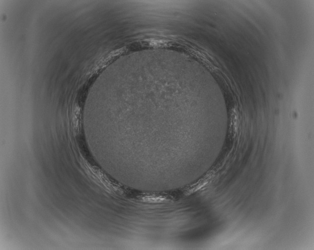 X0000086240650200703291356