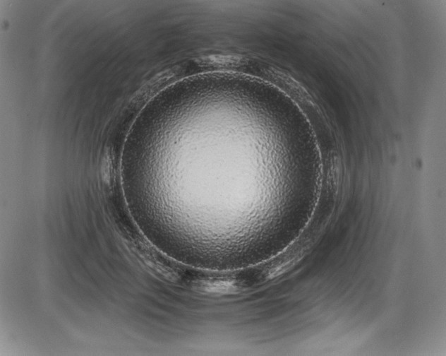 X0000086240651200703291356