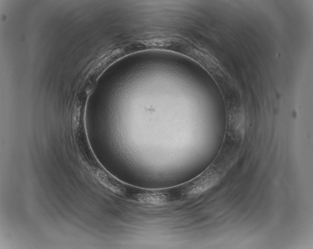 X0000086240652200703291356