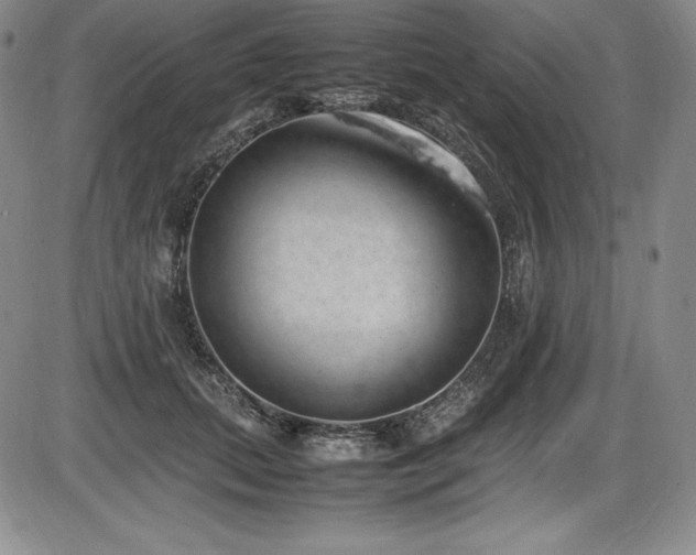 X0000086240655200703291356