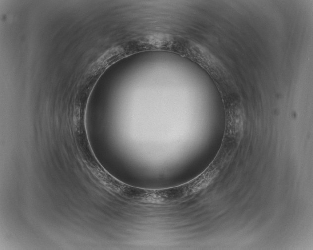 X0000086240656200703291356