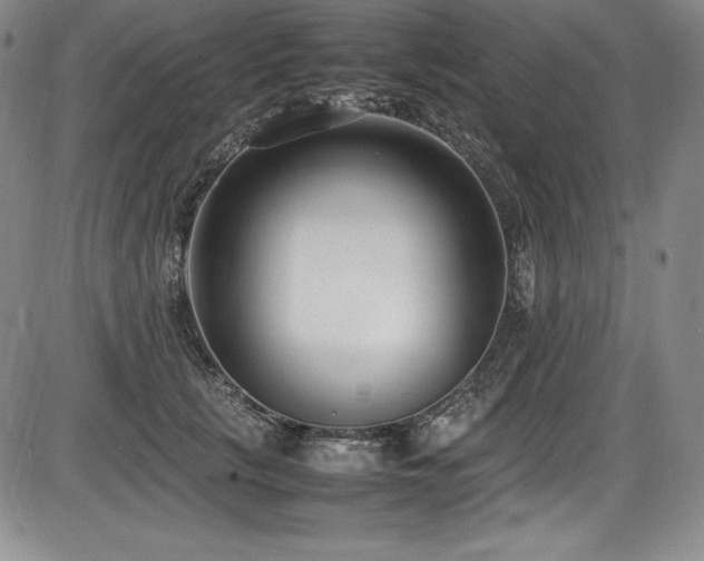 X0000086240657200703291356