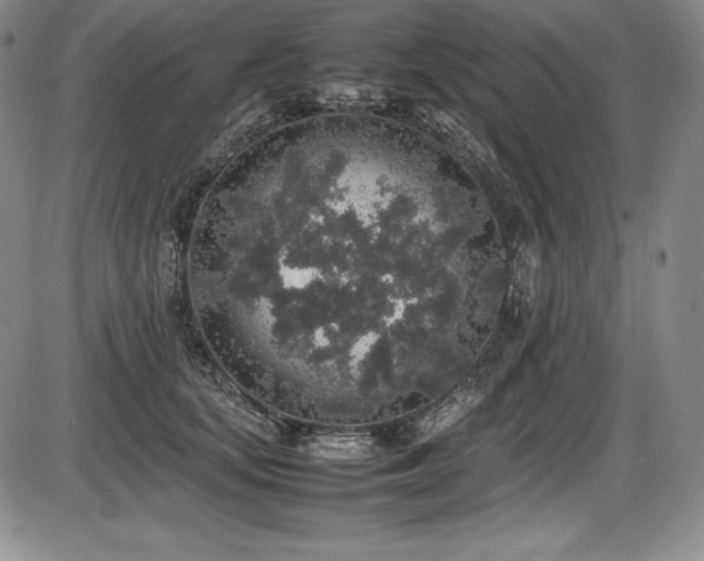 X0000086240659200703291356