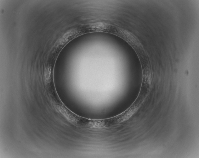 X0000086240660200703291356