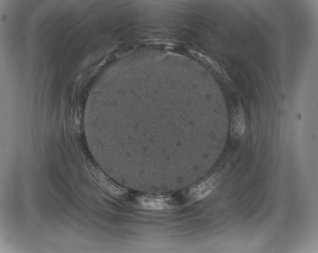 X0000086240661200703291356