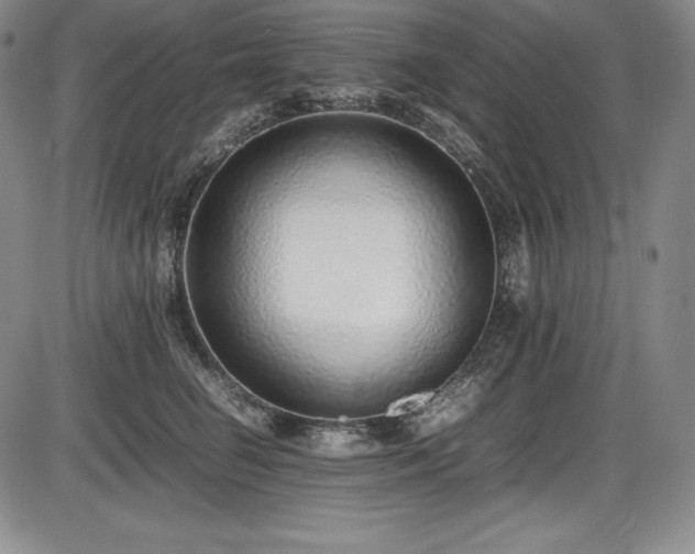 X0000086240662200703291356