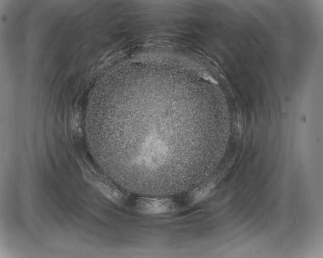 X0000086240663200703291356