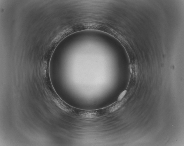 X0000086240664200703291356