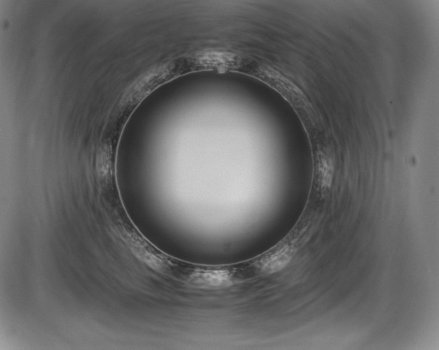 X0000086240665200703291356