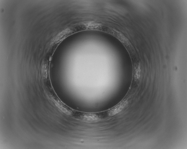 X0000086240666200703291356