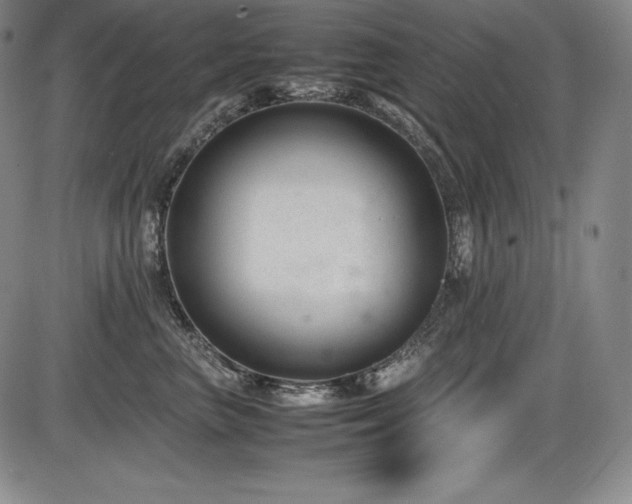 X0000086240667200703291356
