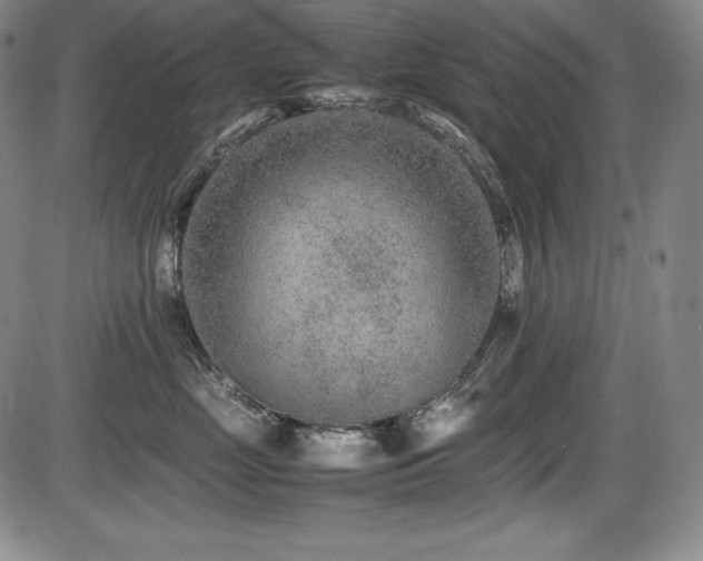 X0000086240669200703291356