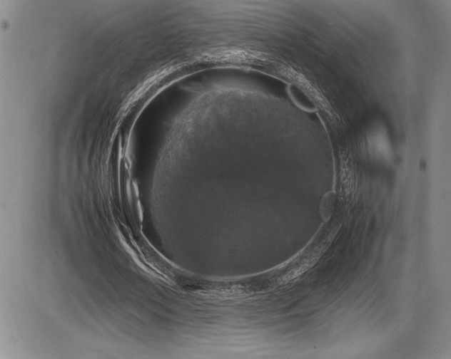X0000086240674200703291356