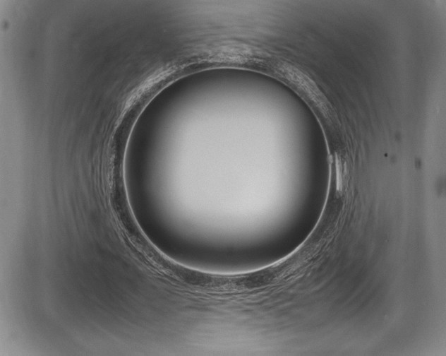 X0000086240675200703291356