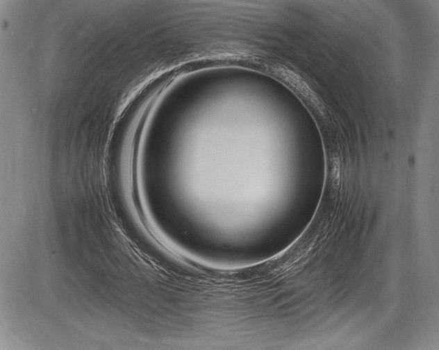 X0000086240676200703291356