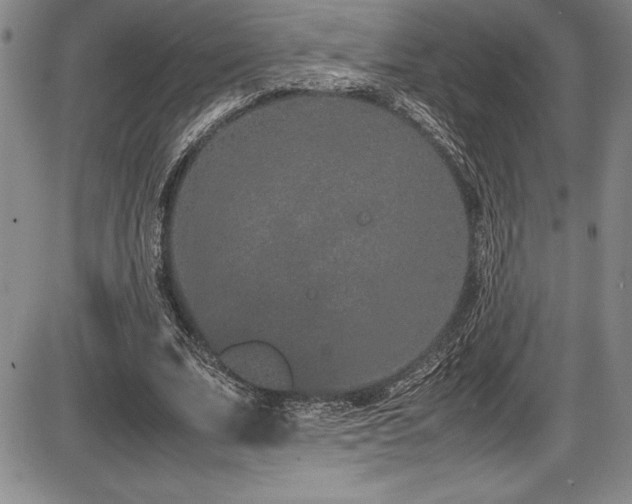 X0000086240679200703291356