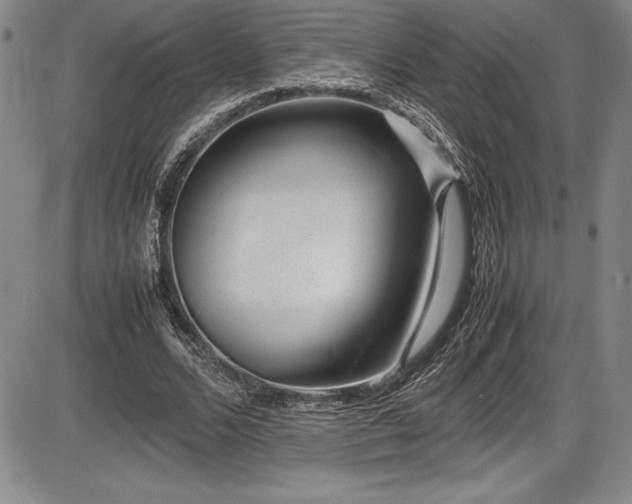 X0000086240680200703291356