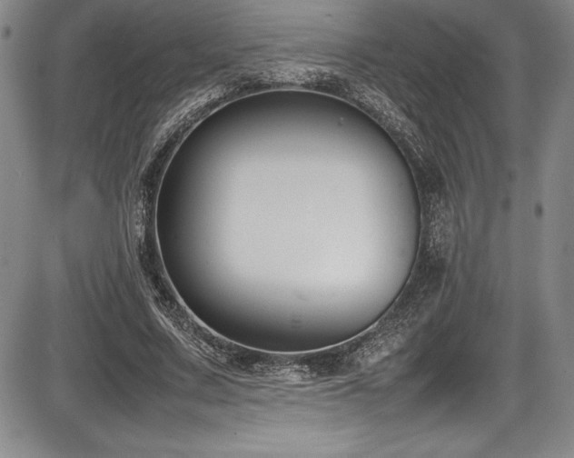 X0000086240683200703291356
