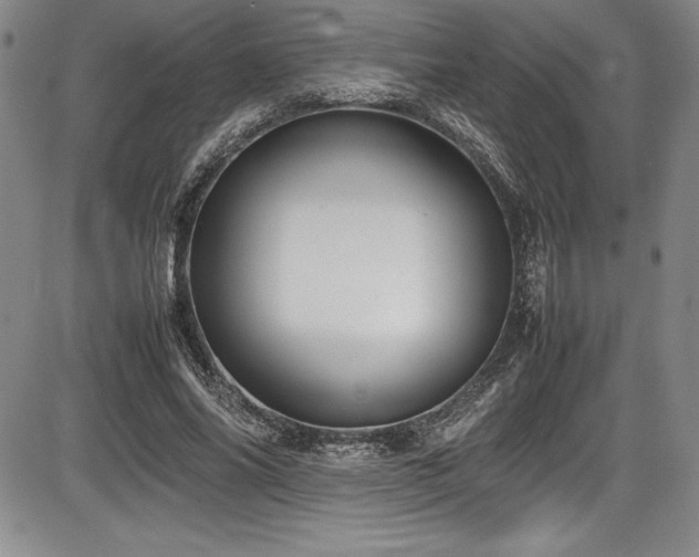 X0000086240686200703291356