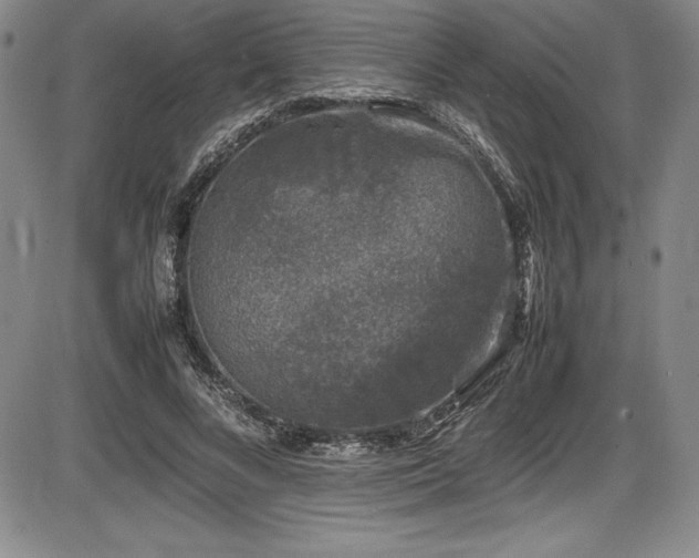 X0000086240688200703291356