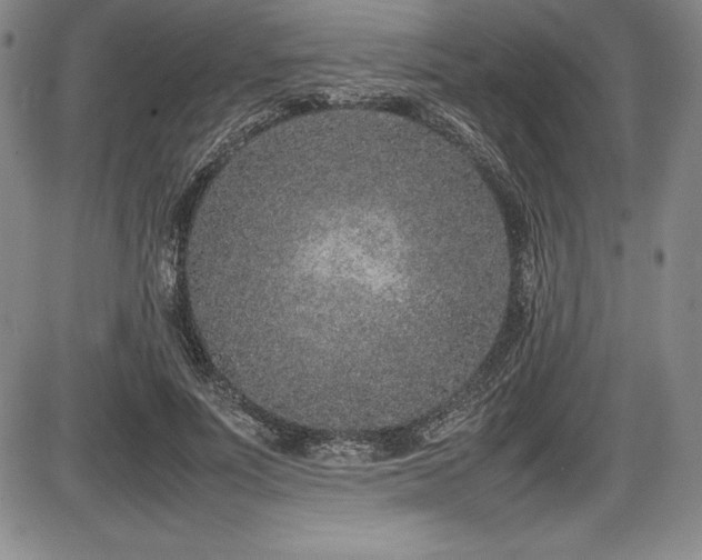X0000086240691200703291355