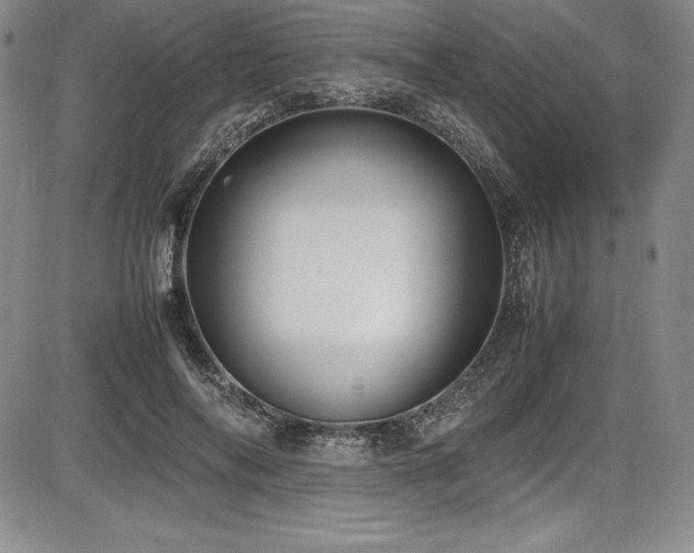 X0000086240694200703291355