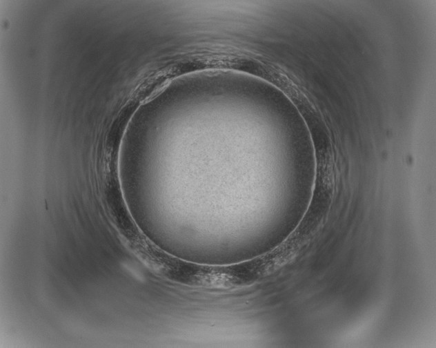 X0000086240695200703291355