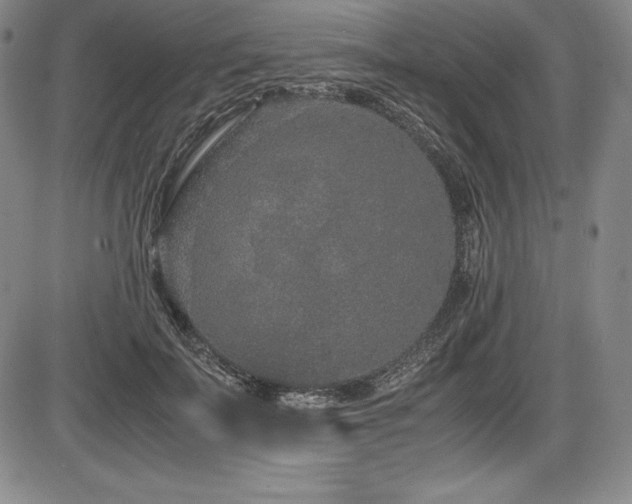 X0000086240699200703291355