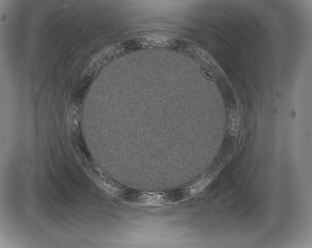 X0000086240701200703291355