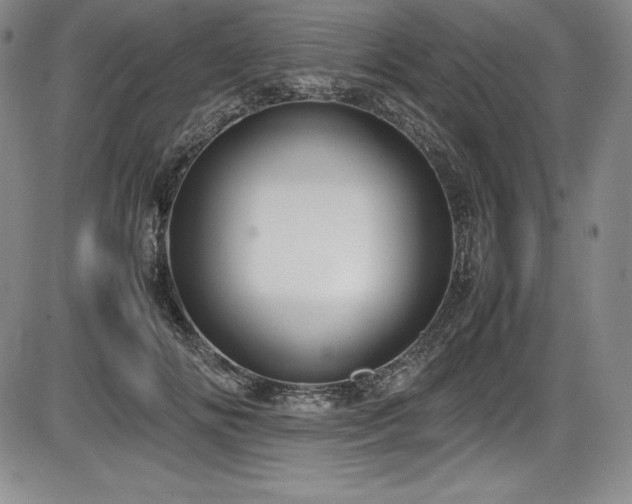 X0000086240702200703291355