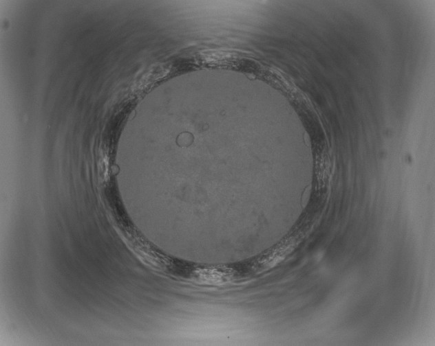 X0000086240703200703291355