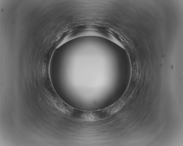 X0000086240704200703291355