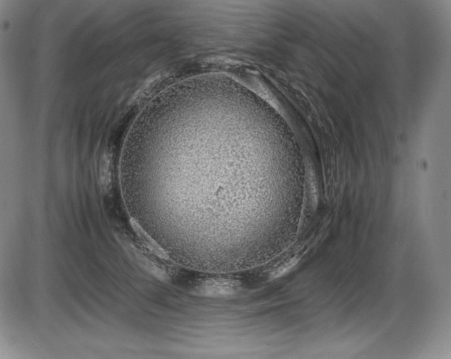 X0000086240708200703291355