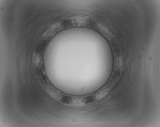 X0000086240709200703291355