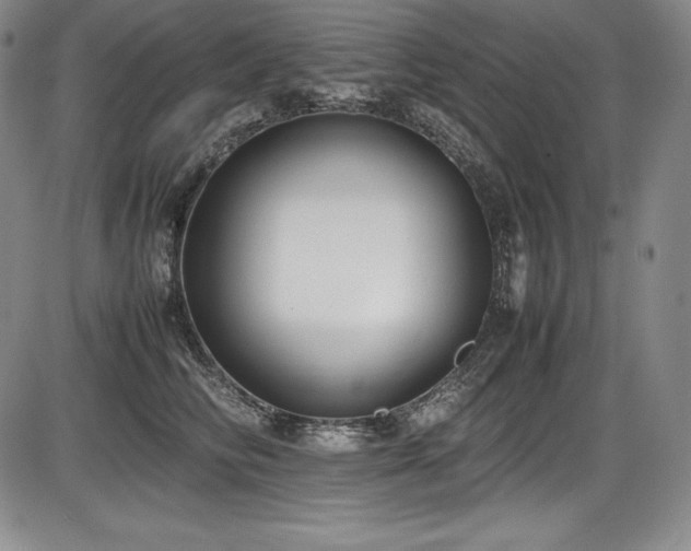 X0000086240710200703291355